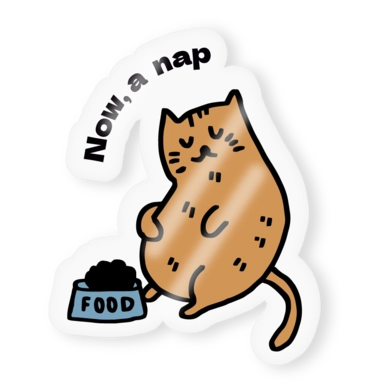 Διαφανή αυτοκόλλητα