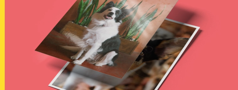 Κλασική εκτύπωση φωτογραφιών